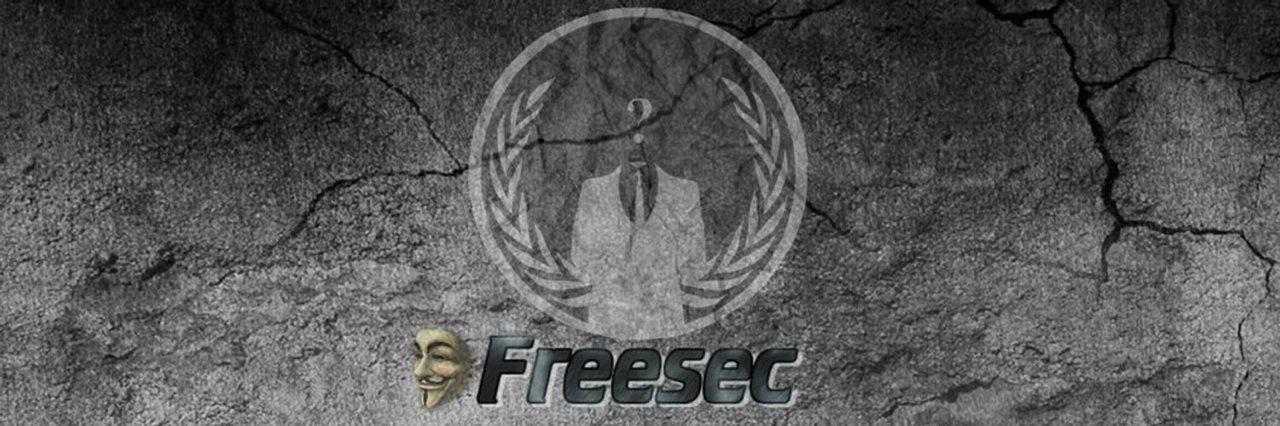 interview with freesecpower about hacking